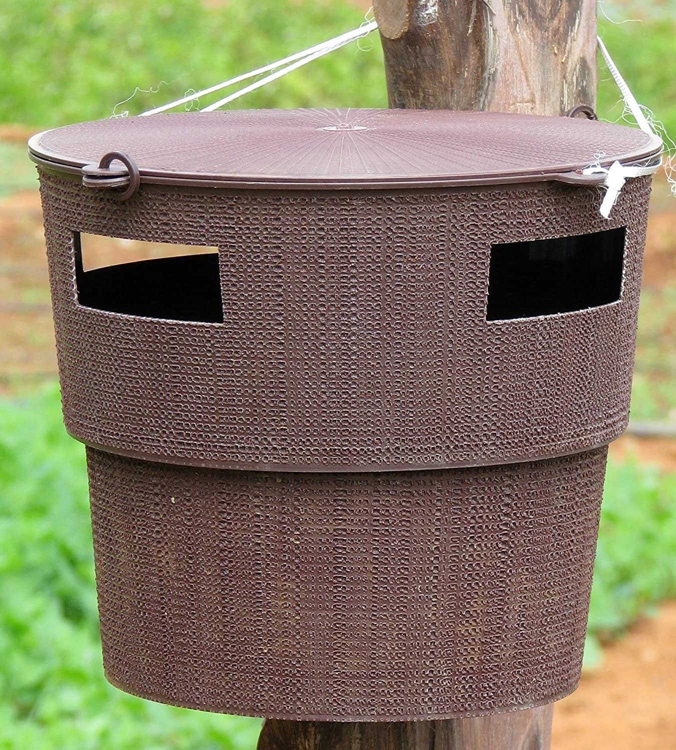 Pheromone Traps - Eco Bugs